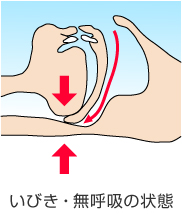 ��̗������݂�������